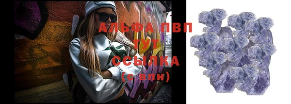 индика Волоколамск