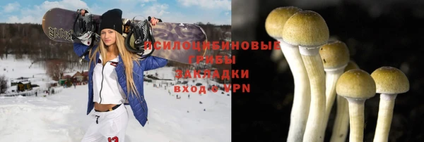 индика Волоколамск