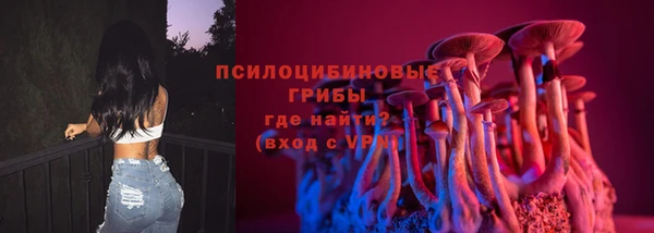 индика Волоколамск