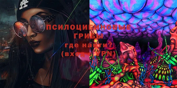 ГАЛЛЮЦИНОГЕННЫЕ ГРИБЫ Володарск