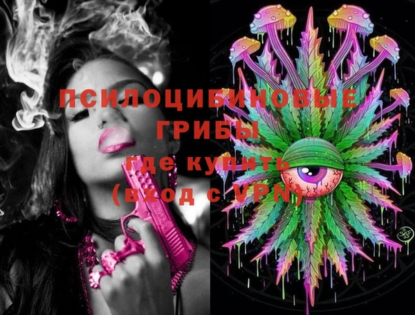 индика Волоколамск