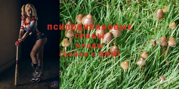 кокаин премиум Волосово
