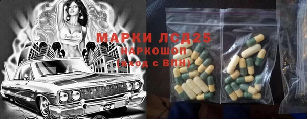 индика Волоколамск
