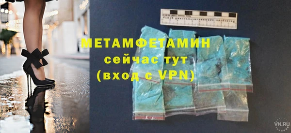 индика Волоколамск