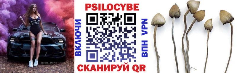 Галлюциногенные грибы прущие грибы  Купить  Солнечногорск 